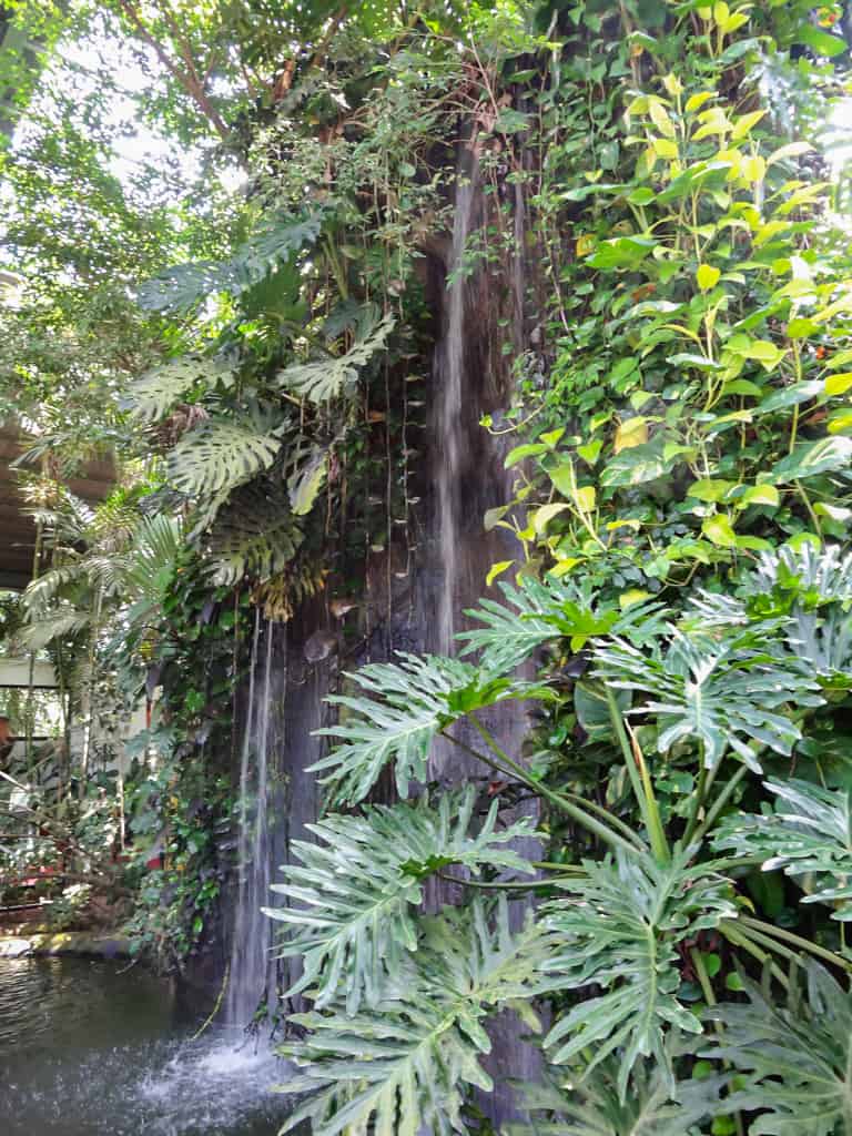 Waterfalls inside the Langkawi Bird Paradise